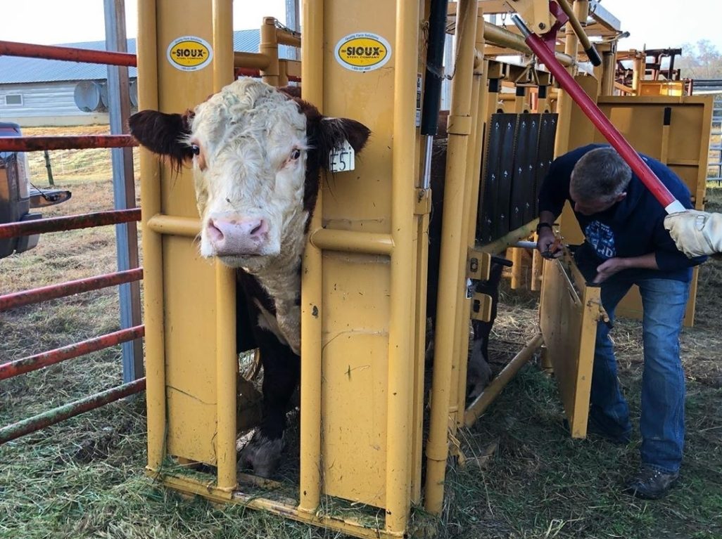 Squeeze Chute - Rubber Floor