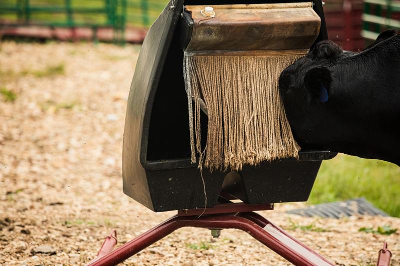 Mineral Feeder - Upright - Tarter