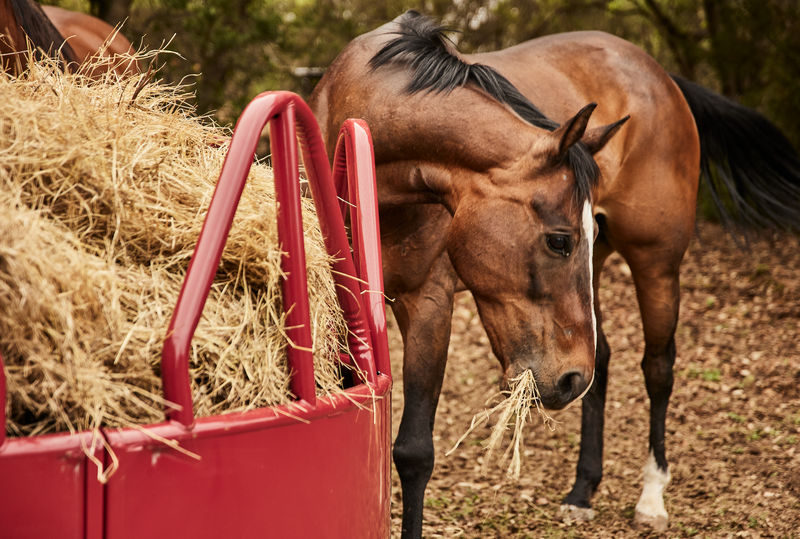 Horse Hay Feeder - Heavy Duty