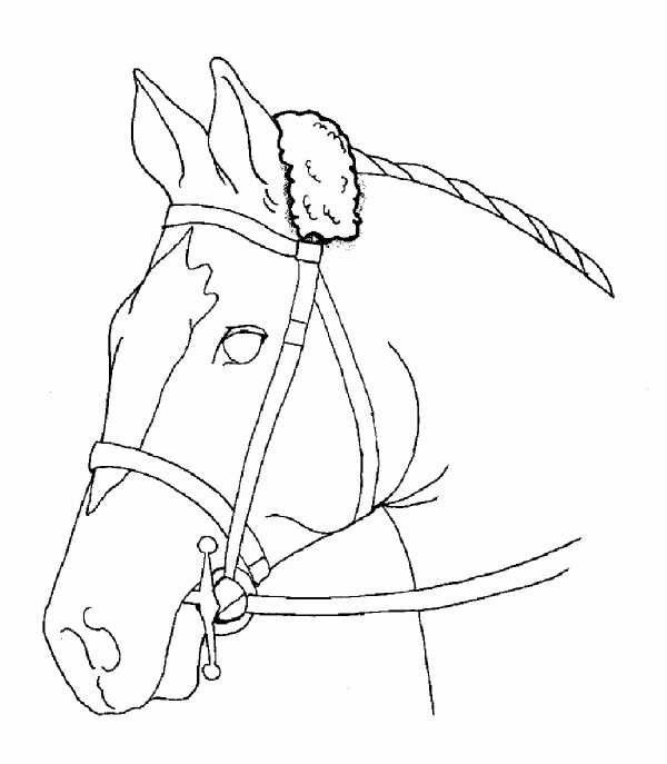 Bridle Cover - Poll Strap