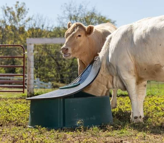Ground Mineral Feeder - Behlen