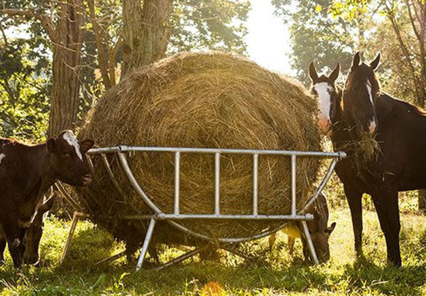 Cradle Bale Feeder - Galvanized