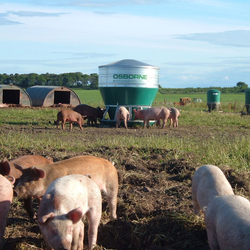 Hog Feeder - 105 bushels