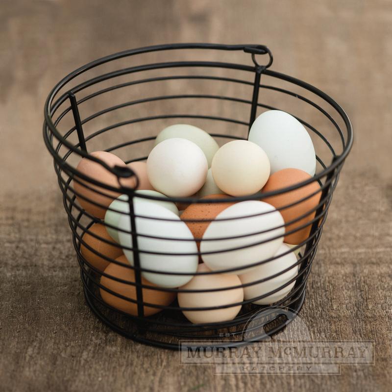 Egg Baskets