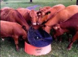 Ground Mineral Feeder - Sioux Steel