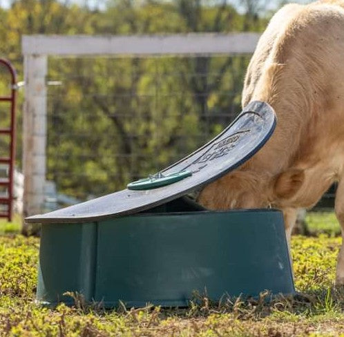 Ground Mineral Feeder - Behlen