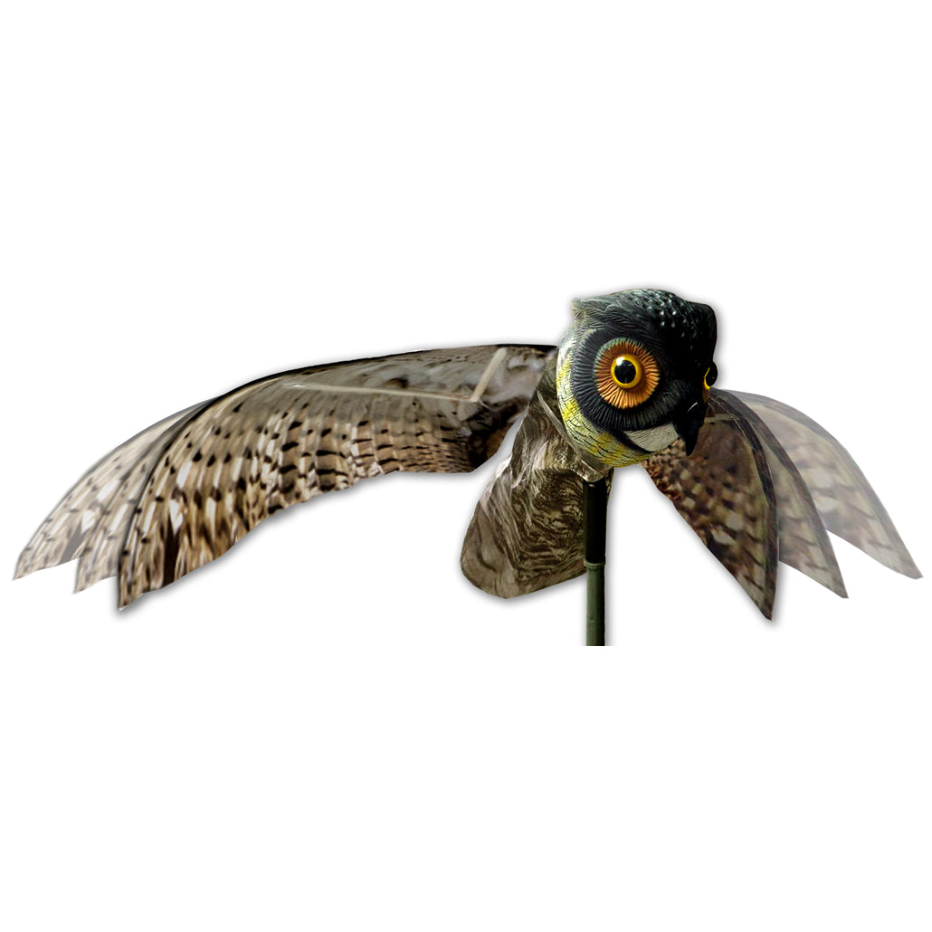 Prowler Owl