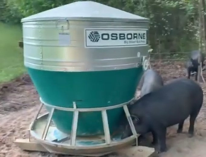 Hog Feeder - 45 bushel