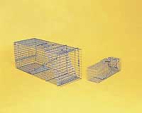 Rabbits, Mink & Ferrets
