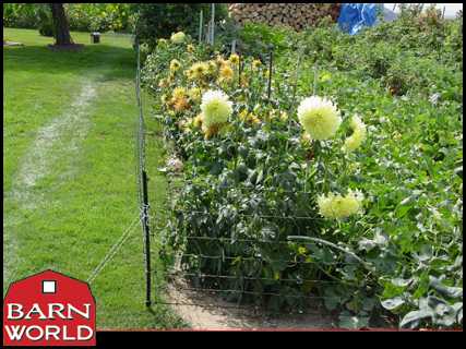 Rabbit / Garden Net White/Black - Posts Included