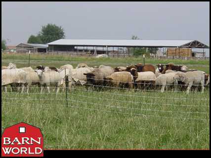 Sheep Net - Posts Included