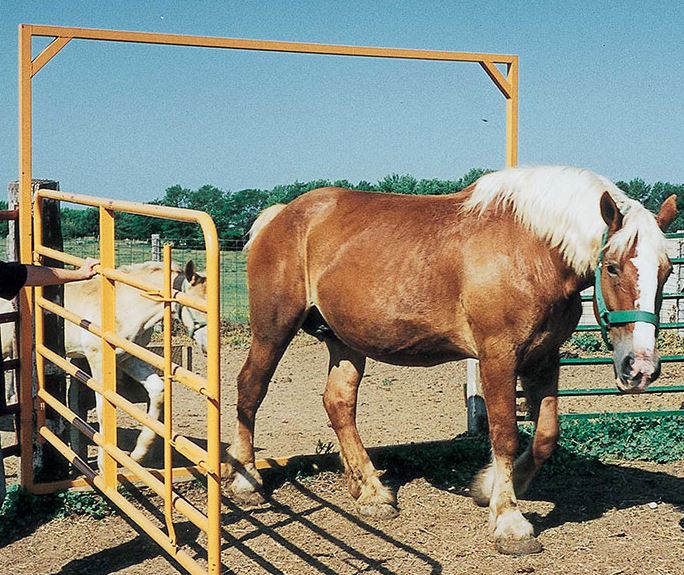 Walk-Thru Swing Gates
