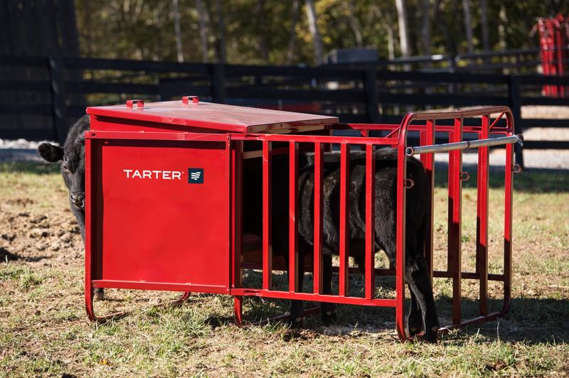 Calf Creep Feeder - 650 lbs