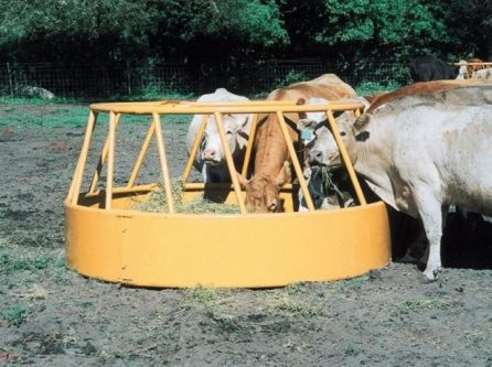 Cattle Hay Feeder with Slant Bars
