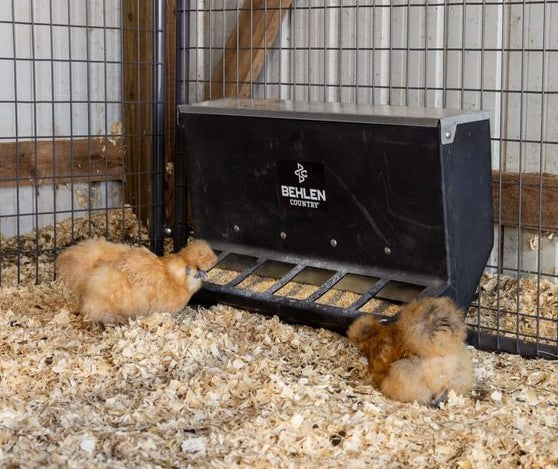 Chicken Feeders