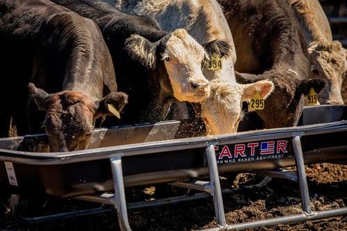Cattle Bunk Feeder - Poly Tub - 10'