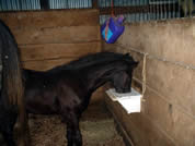 Stall Creep Feeder II