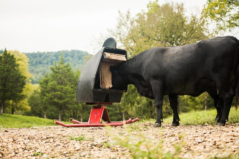 Mineral Feeder - Upright - Tarter
