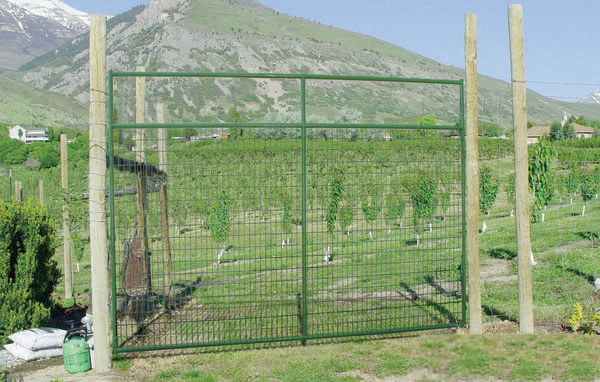 Deer Gate - 92" Tall - Wire Filled Gate
