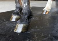 Special Order Stall and Alley Mats