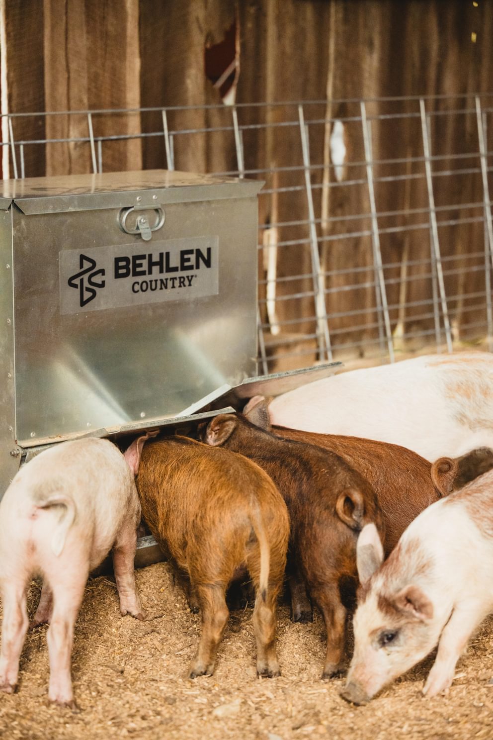 EZ Pig Feeders