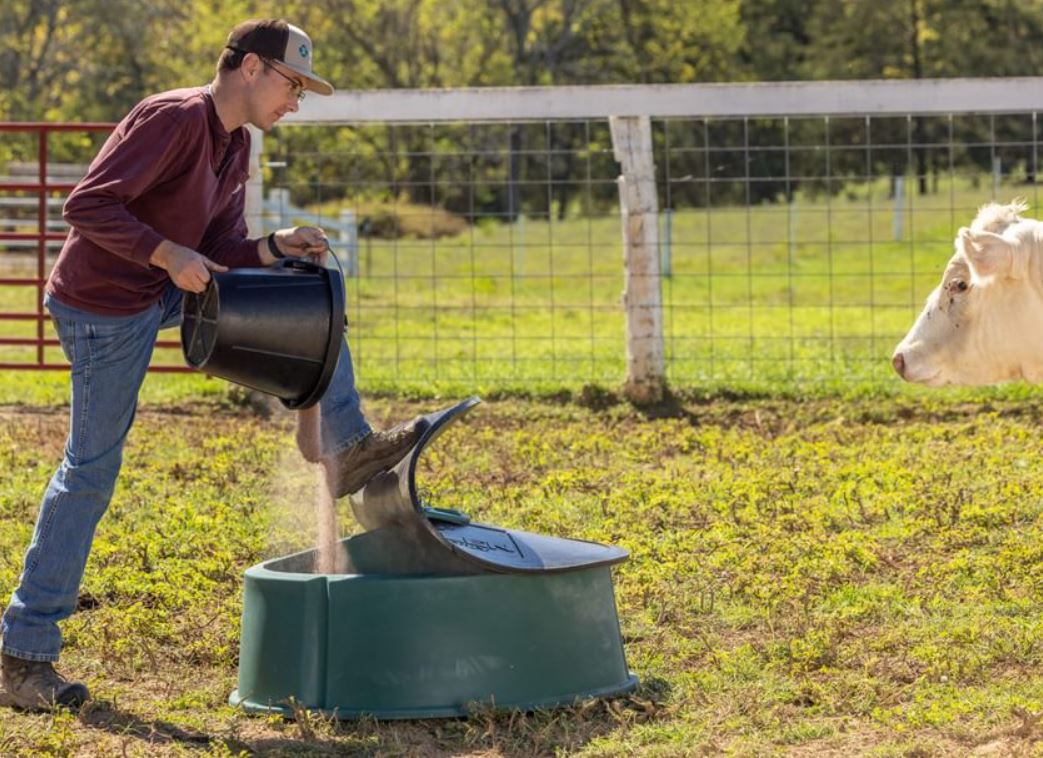 Ground Mineral Feeder - Behlen