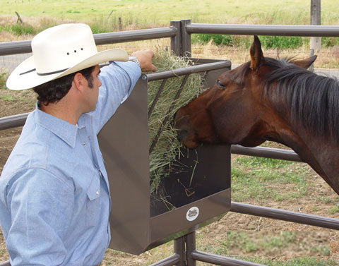 Horse Hay Feeder - Manger