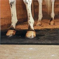 Stall Mat 3/4' - 4' x 8' - Straight Edged