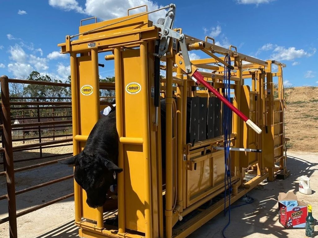 Squeeze Chute - Rubber Floor