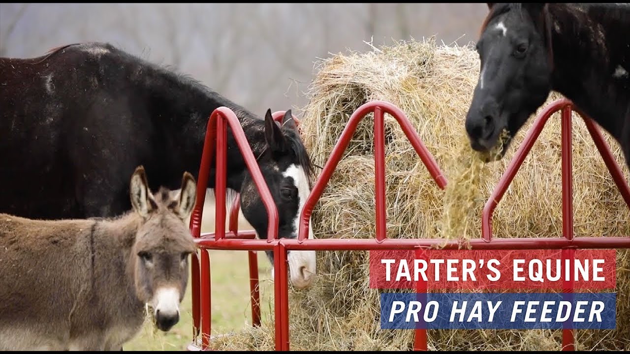 Horse Hay Feeder - Heavy Duty