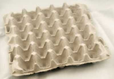 Egg Flats