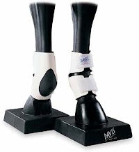 Skid Boot