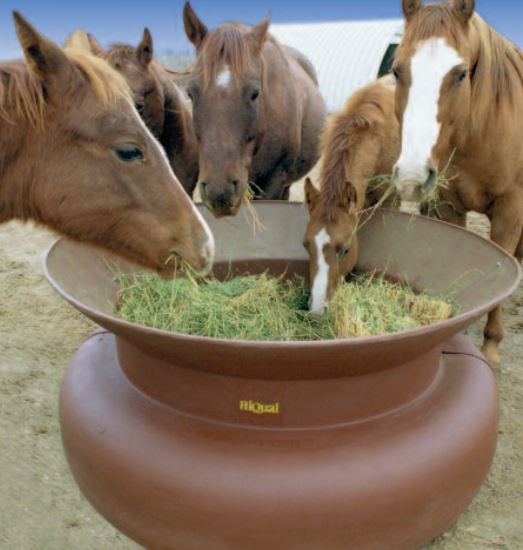 z - Ground Horse Hay Feeder - Discontinued